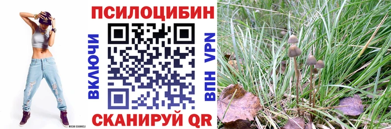 Псилоцибиновые грибы прущие грибы закладки Камызяк